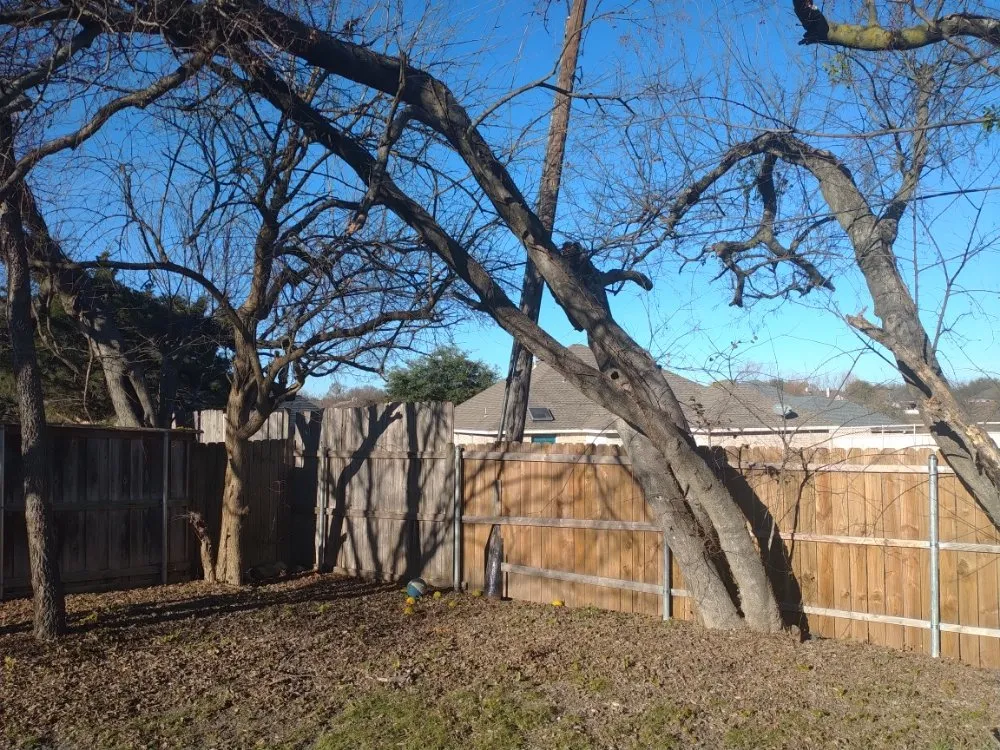 Custom lawn care service for outdoor upgrades in Fort Worth, TX by Matlock's facility care