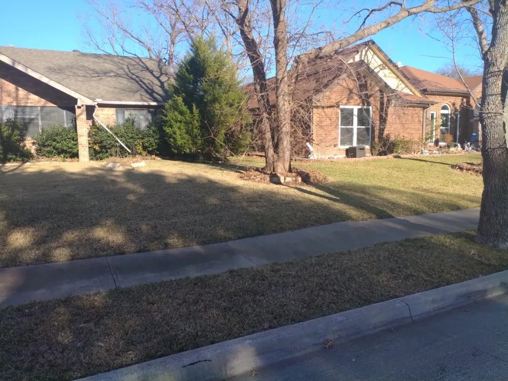 Local lawn mowing service in Fort Worth, TX - Matlock's facility care