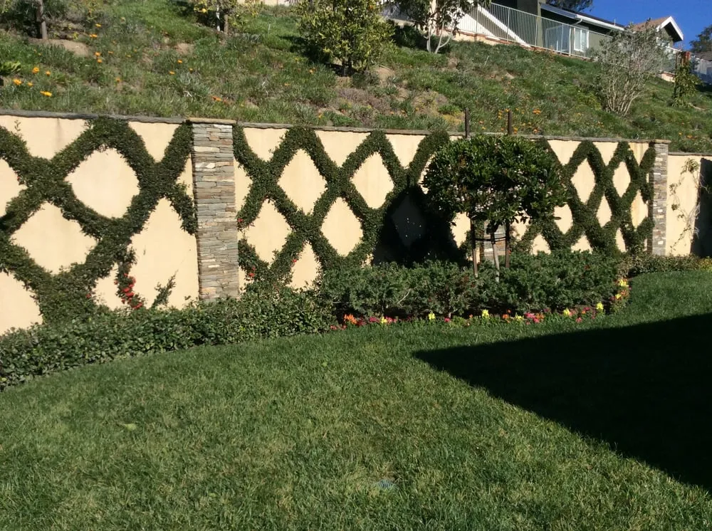 Top-rated outdoor landscaping for beautiful yards across Mission Viejo, CA - Matloff & Associates Landscaping
