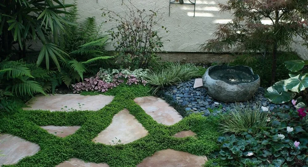 Expert residential landscaping experts serving Mission Viejo, CA - Matloff & Associates Landscaping
