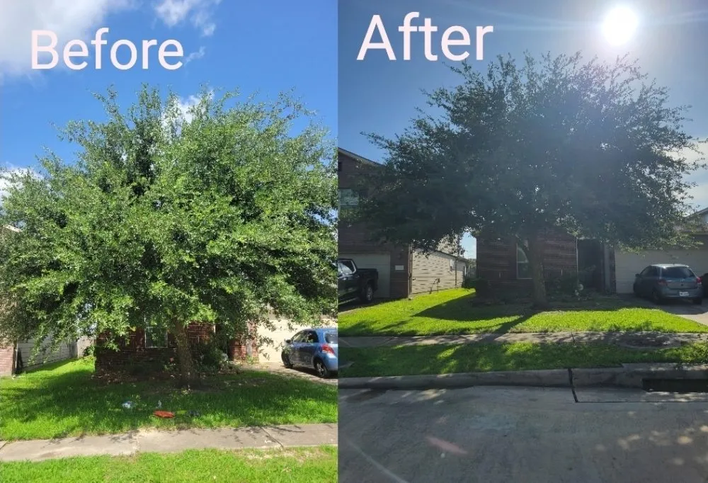 Custom yard cleanup service experts serving Cypress, TX - Matlow Gardeneering