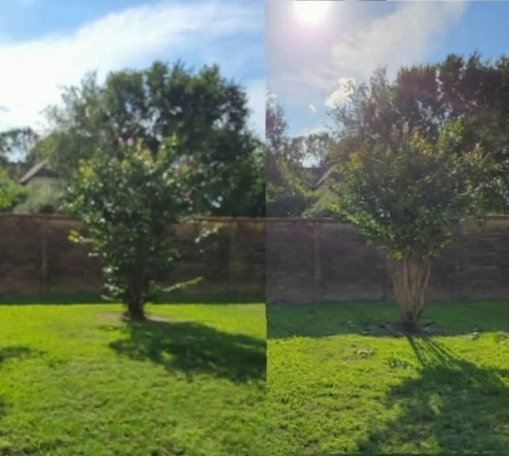 Trusted yard maintenance for beautiful yards across Cypress, TX - Matlow Gardeneering