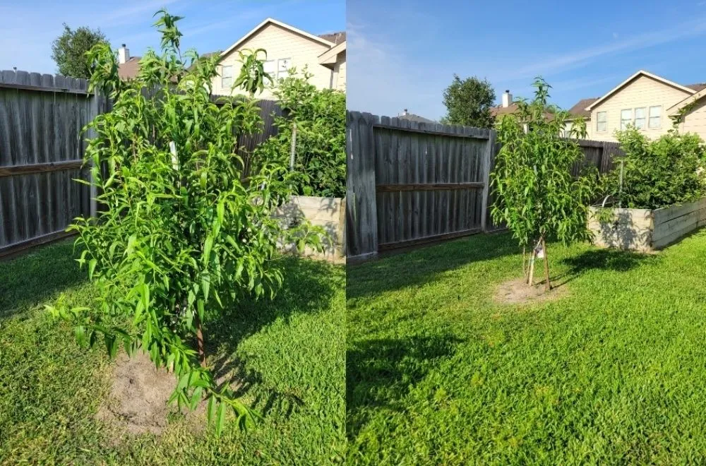 Custom outdoor landscaping with custom design across Cypress, TX - Matlow Gardeneering