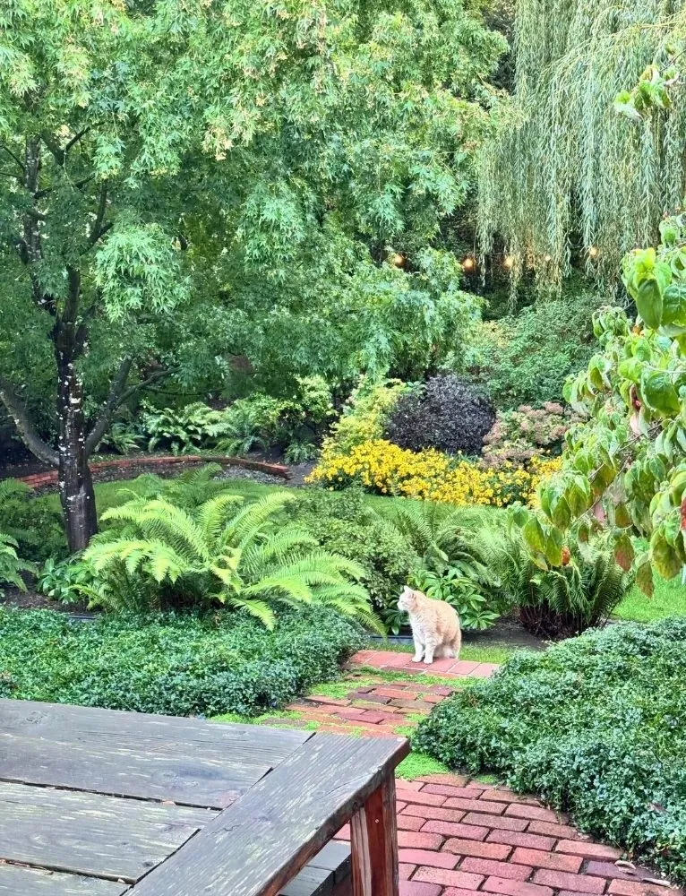 Professional landscape installation near you across Cypress, TX - Matlow Gardeneering