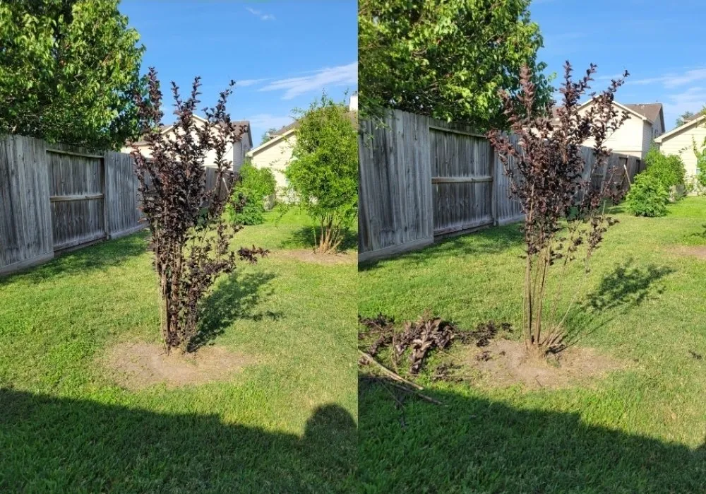 Reliable residential landscaping in Cypress, TX - Matlow Gardeneering