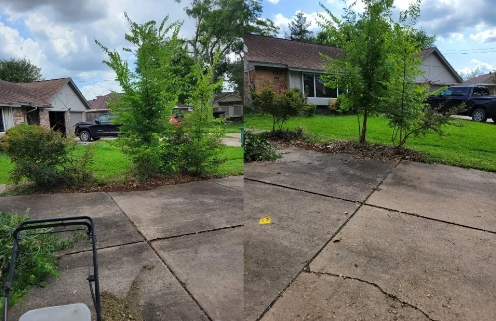 Professional landscaping services experts serving Cypress, TX - Matlow Gardeneering