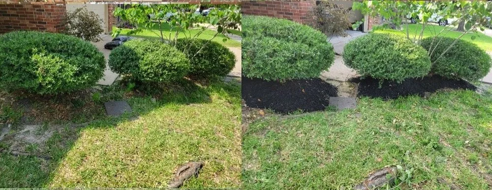 Affordable landscape installation in Cypress, TX - Matlow Gardeneering