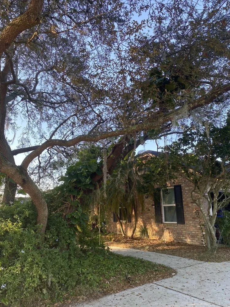 Expert residential landscaping for residential properties in Alafaya, FL by Matos Landscaping