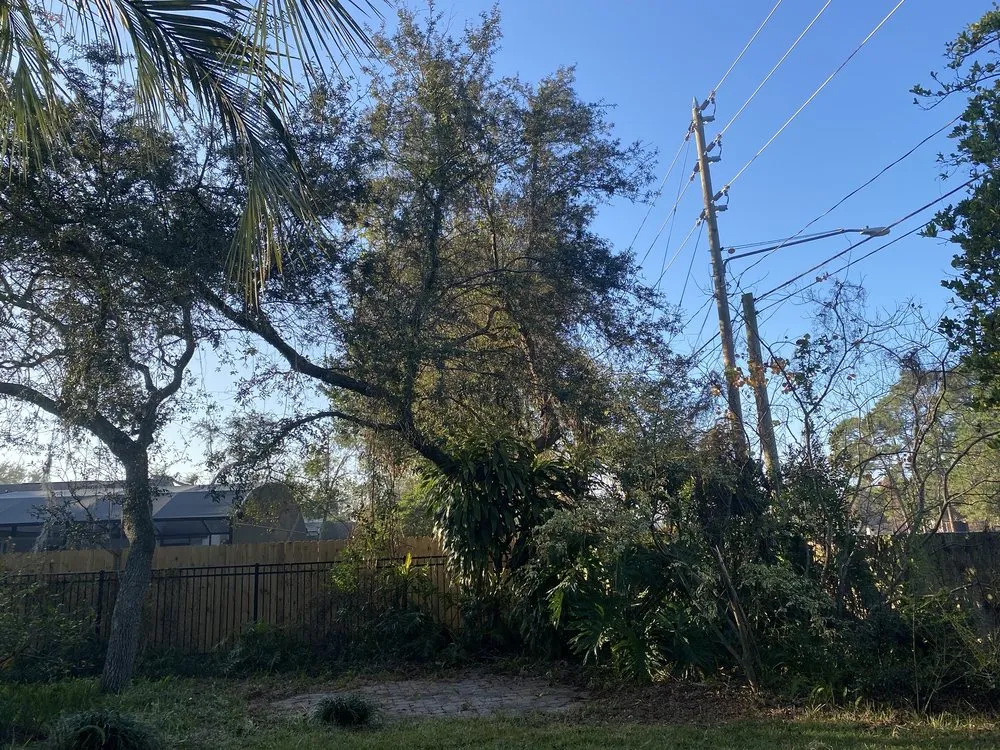 Trusted residential landscaping experts serving Alafaya, FL - Matos Landscaping