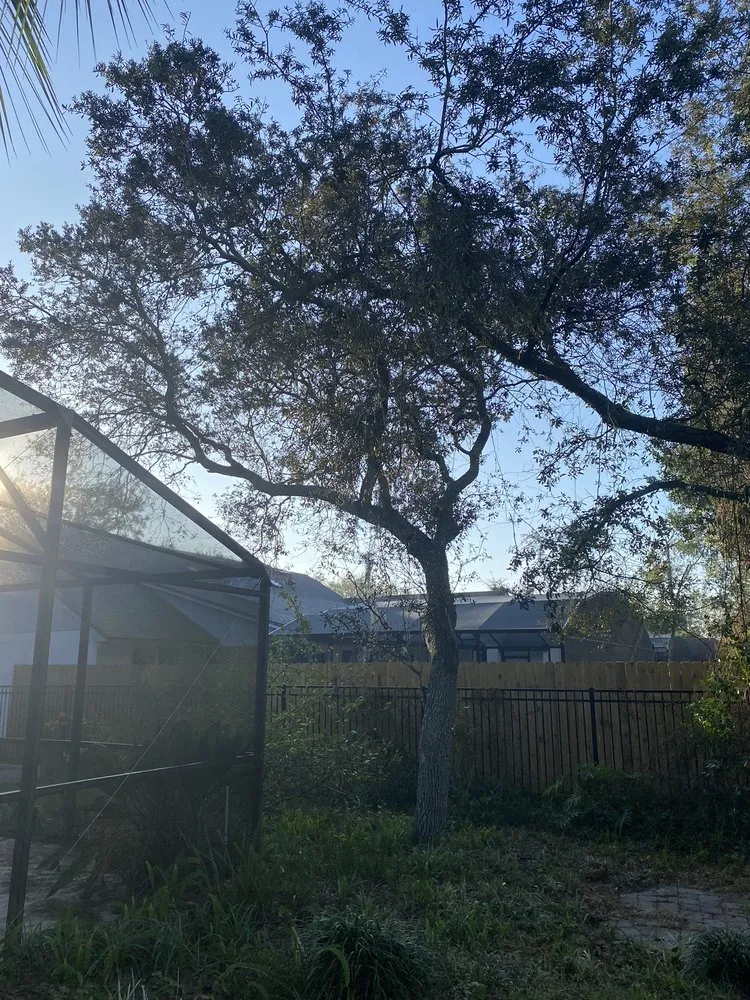 Trusted landscaping services in Alafaya, FL - Matos Landscaping