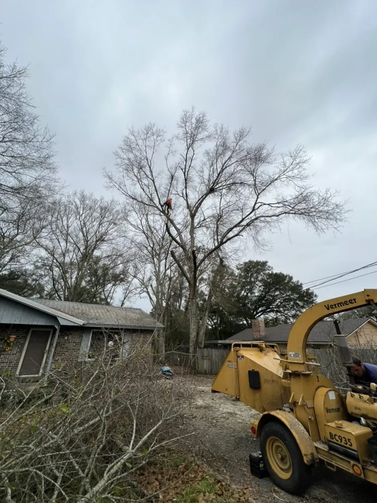 Local residential landscaping in Century, FL by Matrix Land Management