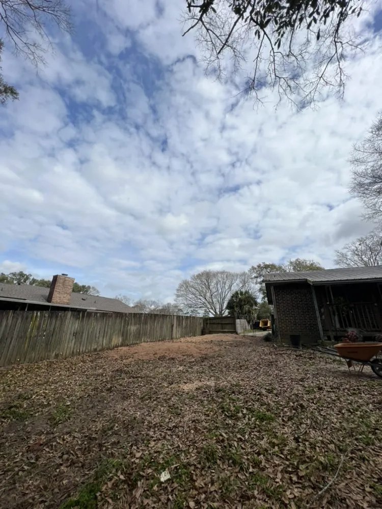 Affordable landscape installation in Century, FL by Matrix Land Management