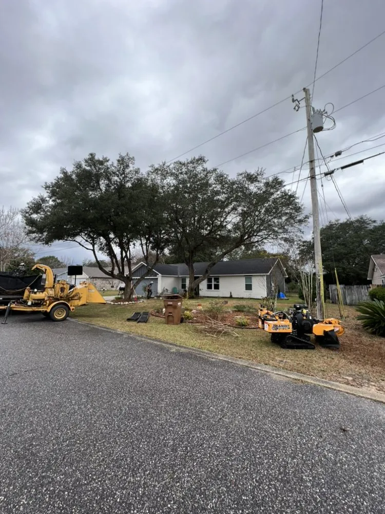 Top-rated lawn care service for residential properties in Century, FL by Matrix Land Management
