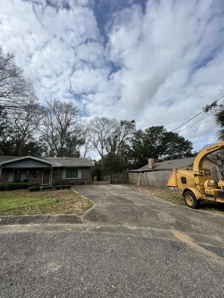 Reliable landscaping services experts serving Century, FL - Matrix Land Management