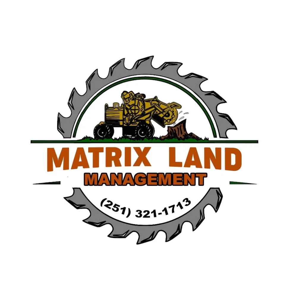Top-rated landscape design for outdoor upgrades across Century, FL - Matrix Land Management