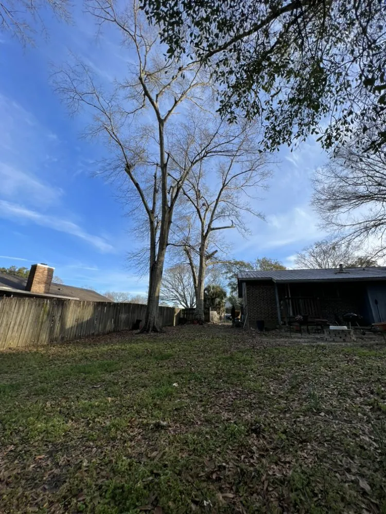 Custom lawn mowing service experts serving Century, FL - Matrix Land Management