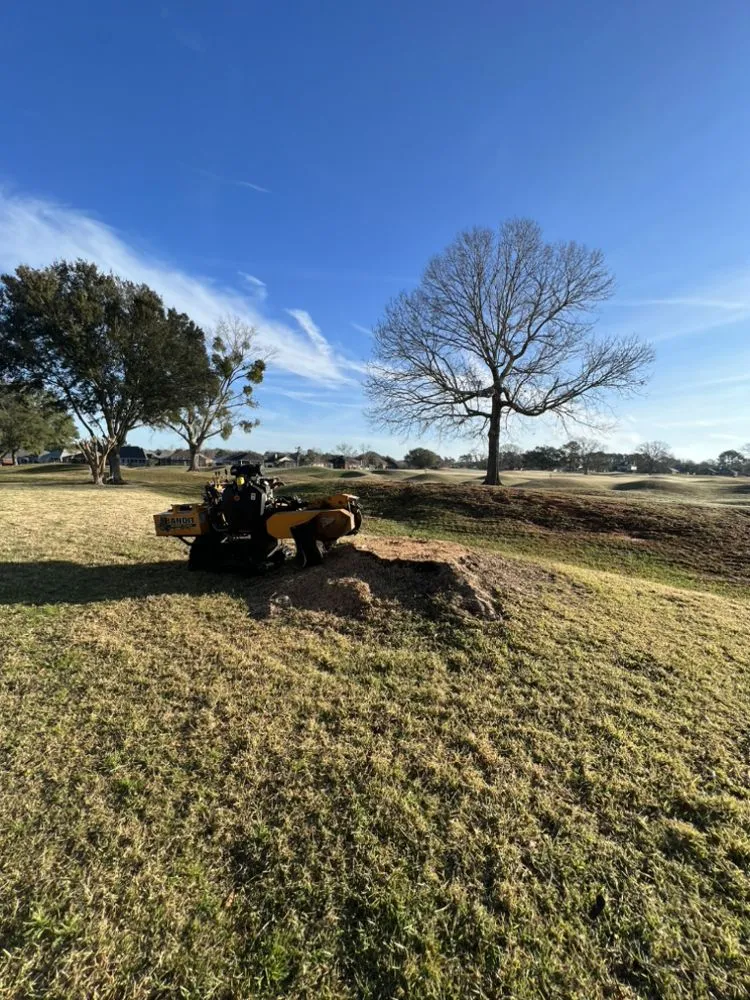 Professional landscape design experts serving Century, FL - Matrix Land Management