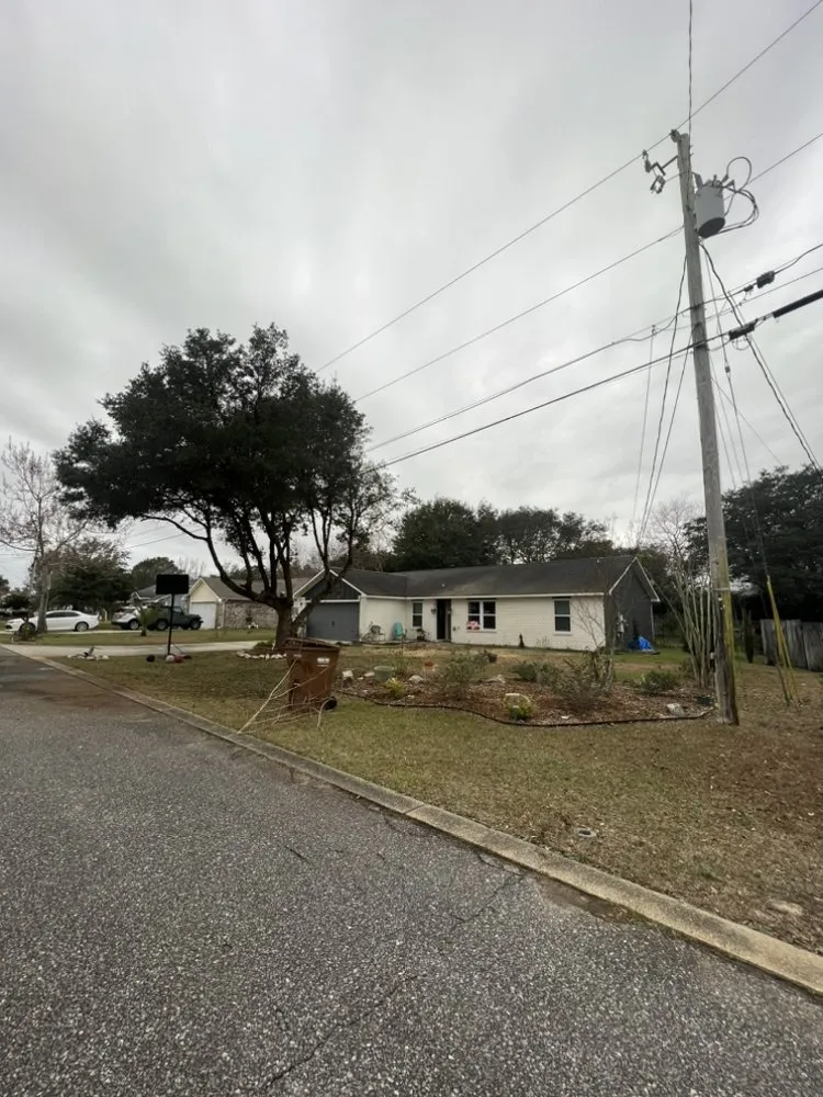 Affordable yard cleanup service experts serving Century, FL - Matrix Land Management