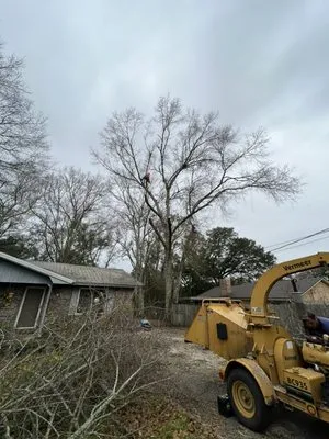 Matrix Land Management