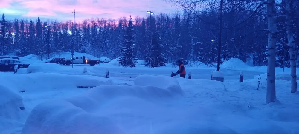 Trusted yard cleanup service for residential properties across Everett, WA - Matson Family Landscaping