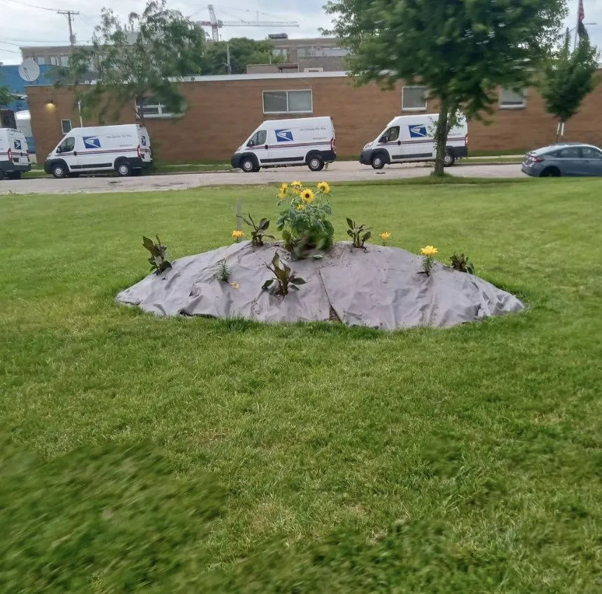 Custom lawn care service in Milwaukee, WI - Matt & Alex Services