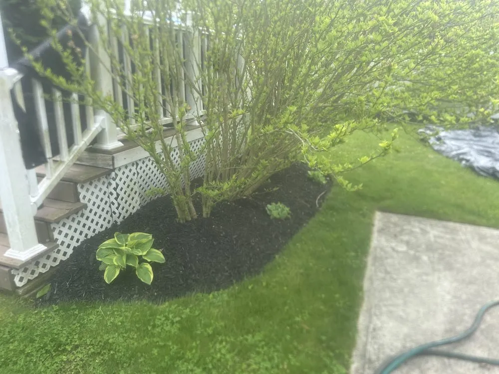 Trusted residential landscaping experts serving Mastic Beach, NY - Matt & Zack’s Landscaping