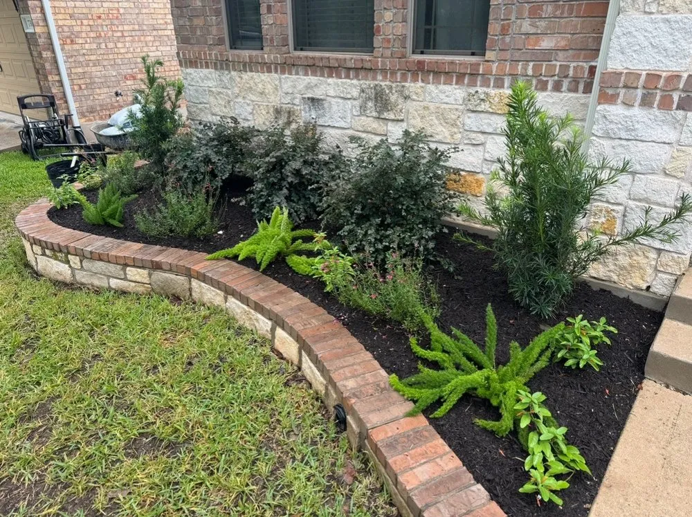 Top-rated lawn care service near you in Round Rock, TX by Matt Anders Landscaping & Irrigation