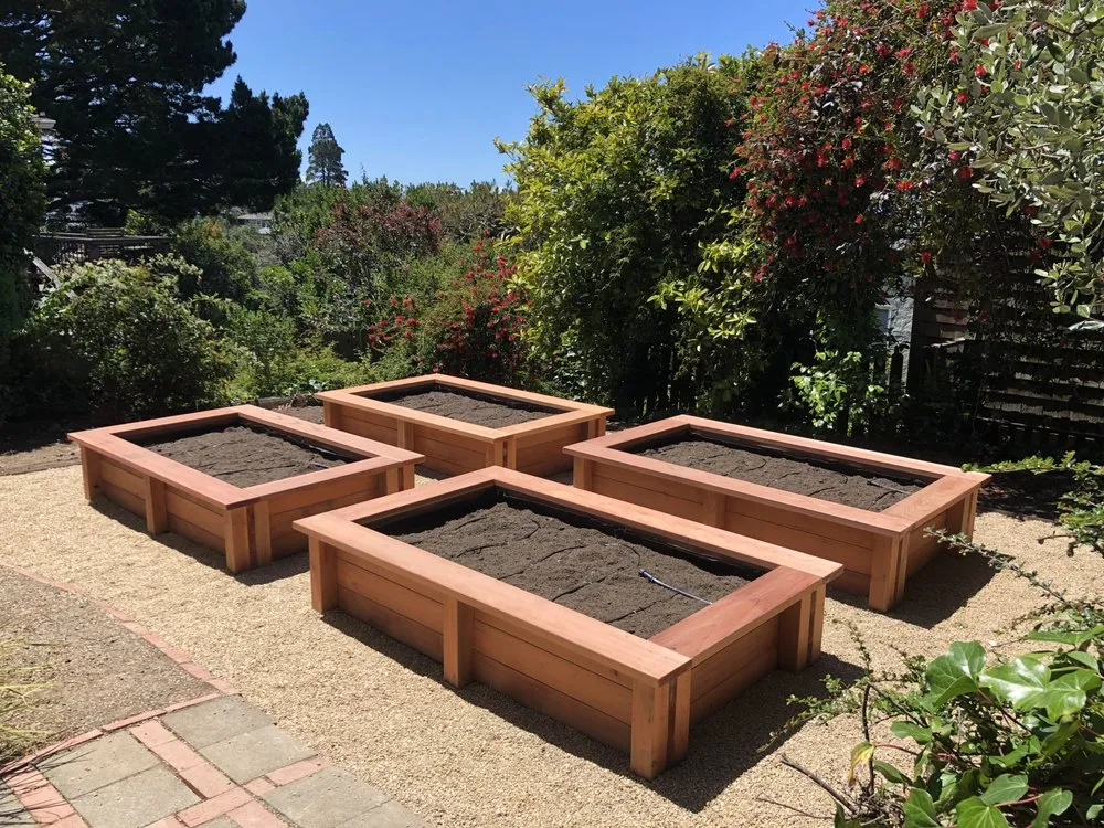 Custom landscape design in Berkeley, CA by Matt Horn Landscaping and Tree Care