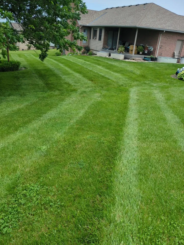 Local yard cleanup service in Liberty Township, OH by Matt Murphy Landscaping