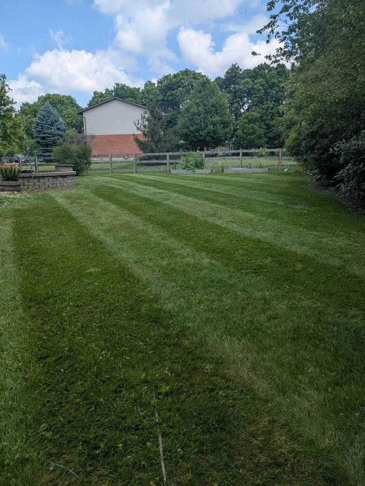 Professional lawn care service for year-round maintenance across Liberty Township, OH - Matt Murphy Landscaping