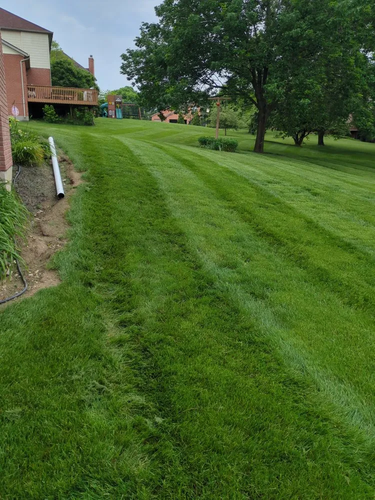 Trusted lawn care service for homes in Liberty Township, OH by Matt Murphy Landscaping