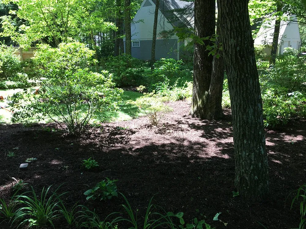 Professional landscaping services for homes in Southington, CT by Matt Normandin Landscaping