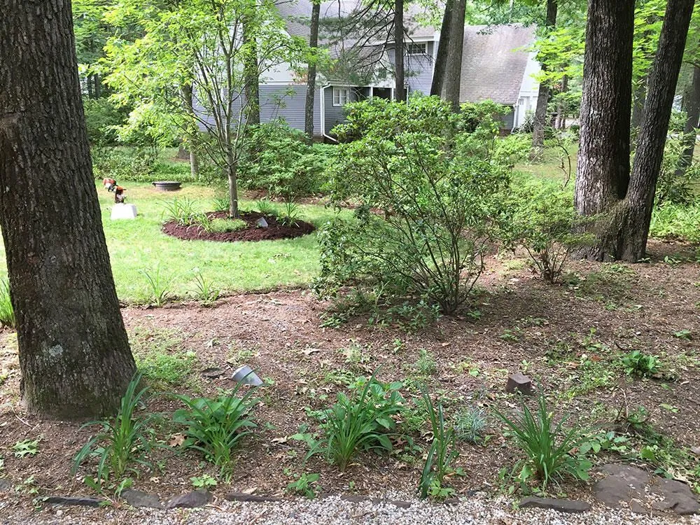 Affordable yard maintenance in Southington, CT by Matt Normandin Landscaping