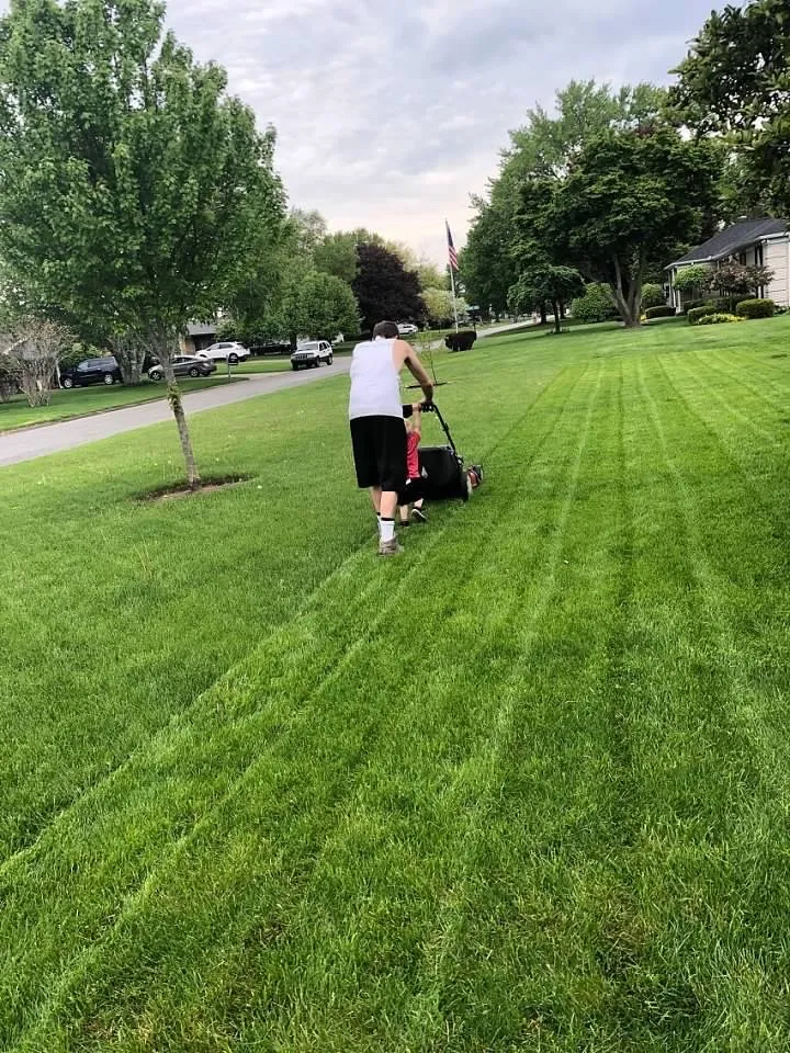 Expert yard maintenance for beautiful yards in Grandville, MI by Matt of All Trades