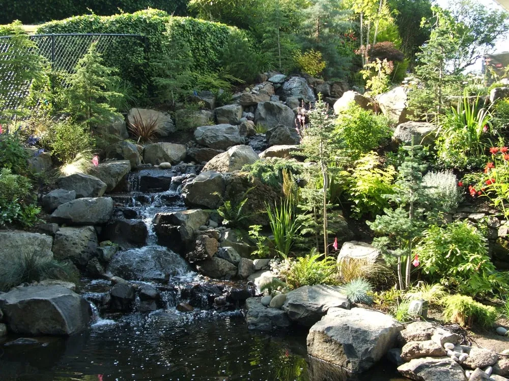 Professional yard cleanup service near you in Tigard, OR by Matt Sander Landscape Services