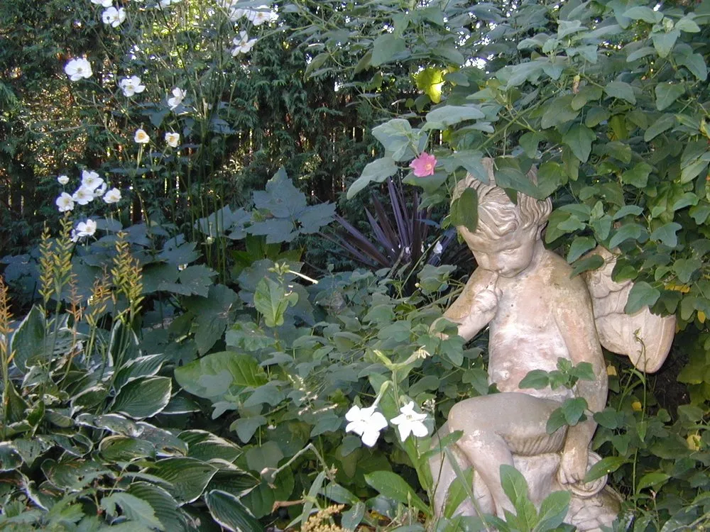 Expert residential landscaping for residential properties across Tigard, OR - Matt Sander Landscape Services