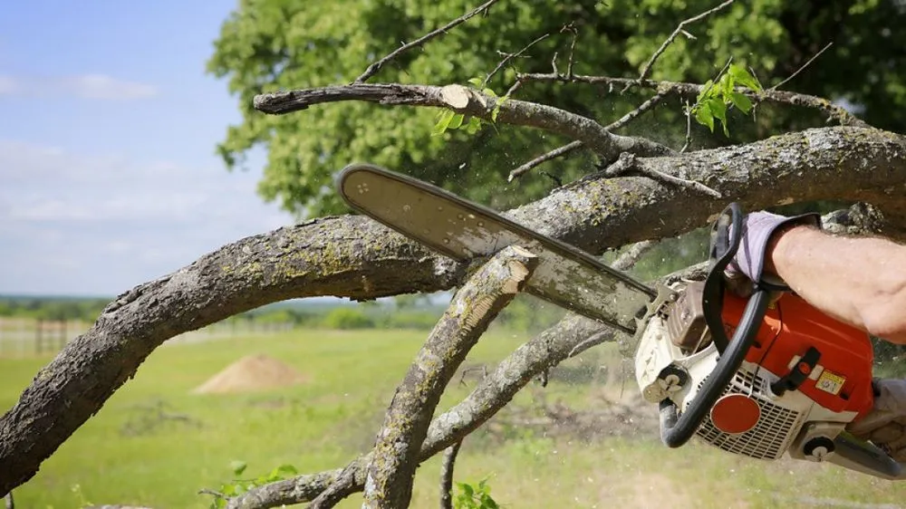 Reliable landscape installation with custom design in Ellijay, GA by Matt Tree Services & Landscaping