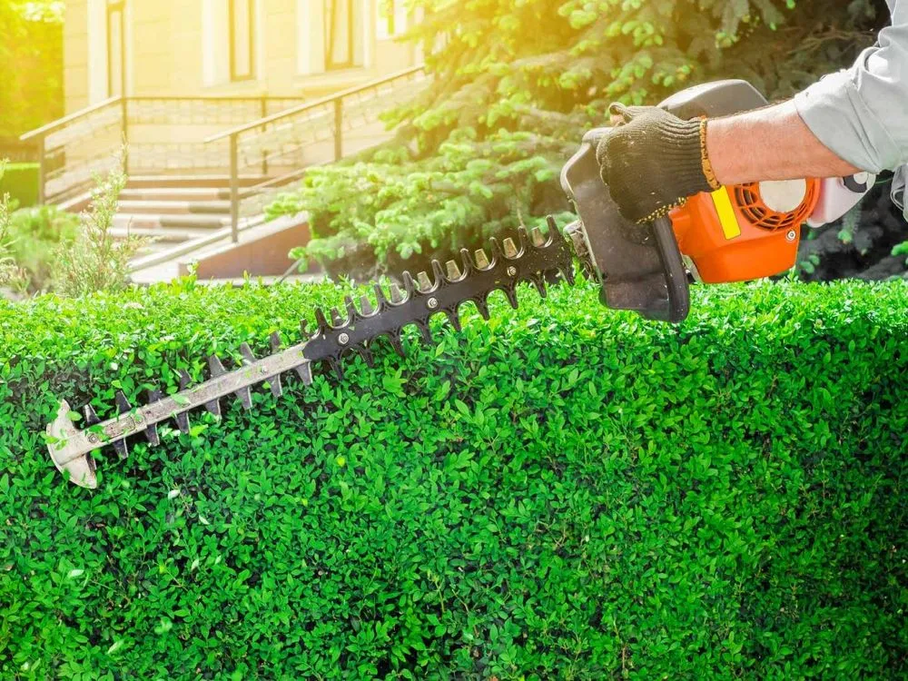 Affordable garden landscaping for year-round maintenance across Ellijay, GA - Matt Tree Services & Landscaping