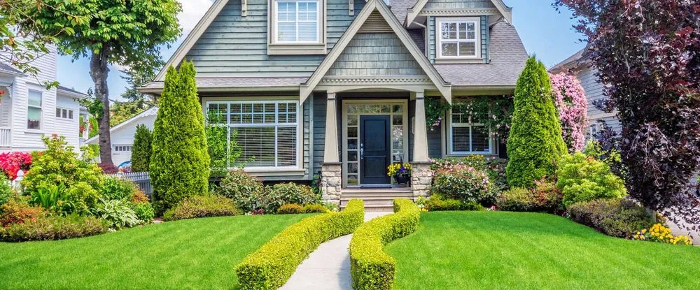 Reliable yard cleanup service in Ellijay, GA - Matt Tree Services & Landscaping