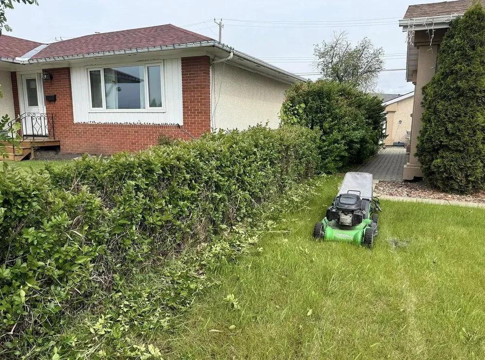 Local lawn care service in Boston, MA by Mattapan Lawn Services