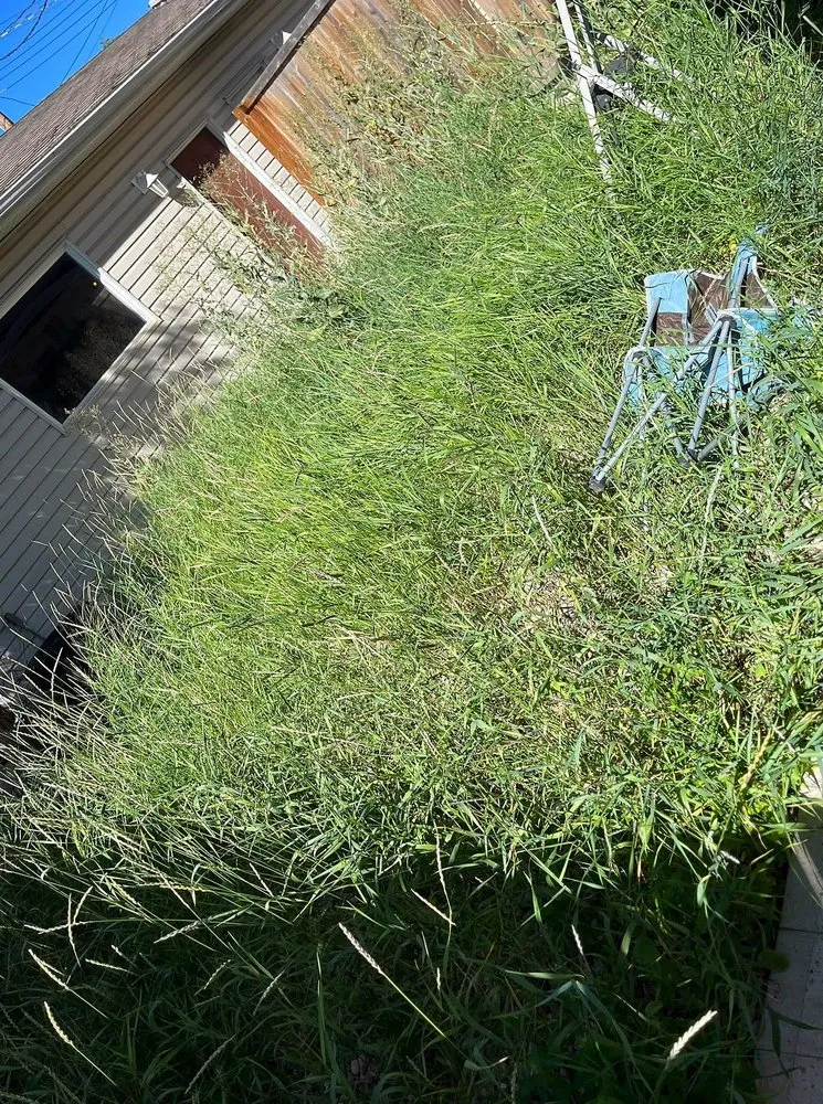 Reliable outdoor landscaping for homes across Boston, MA - Mattapan Lawn Services