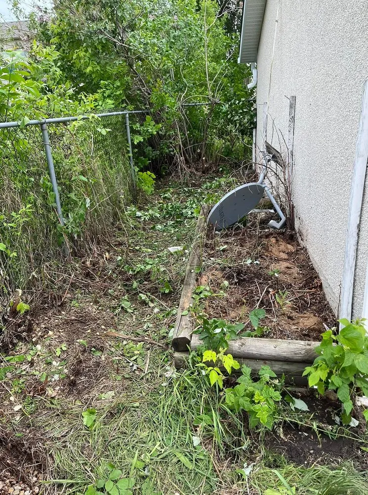 Trusted lawn mowing service in Boston, MA by Mattapan Lawn Services