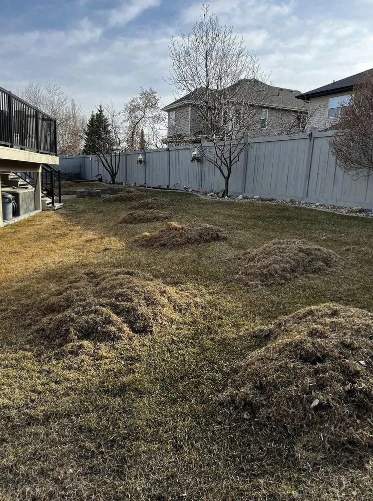 Affordable yard maintenance in Boston, MA - Mattapan Lawn Services