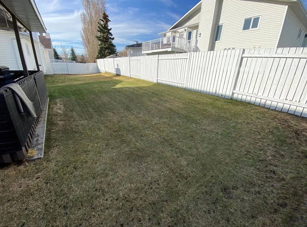 Expert landscaping services in Boston, MA by Mattapan Lawn Services