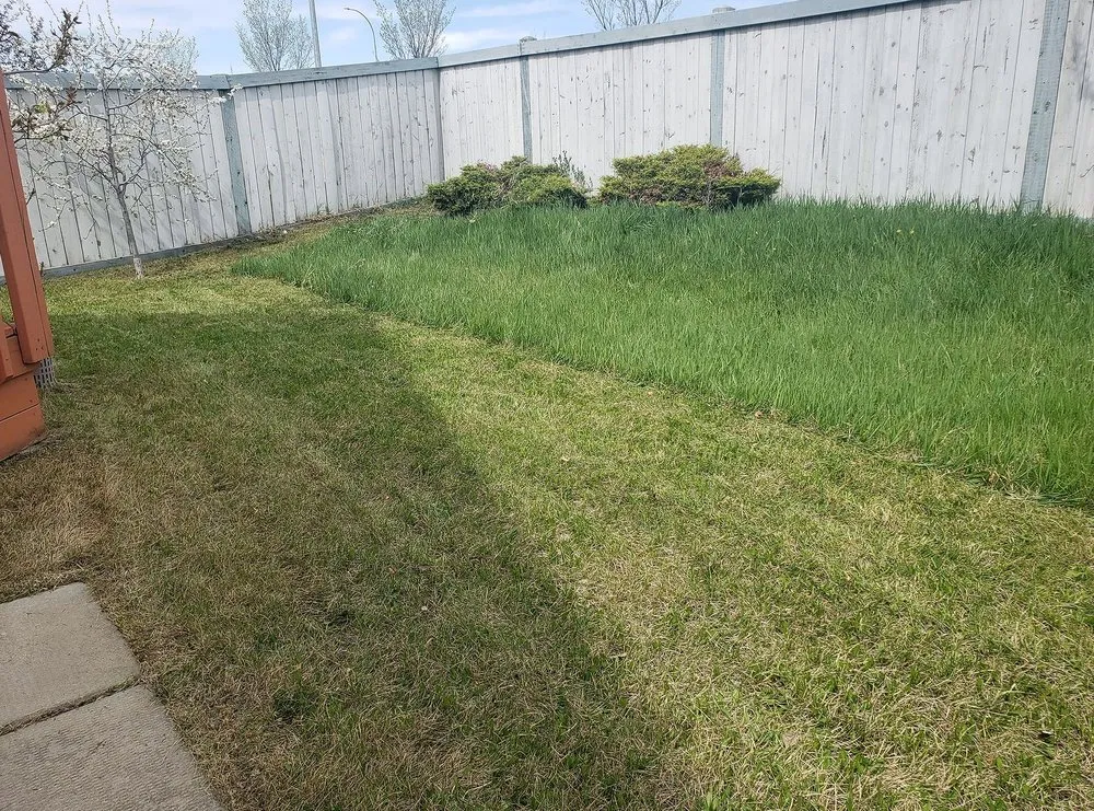 Affordable residential landscaping for residential properties in Boston, MA by Mattapan Lawn Services