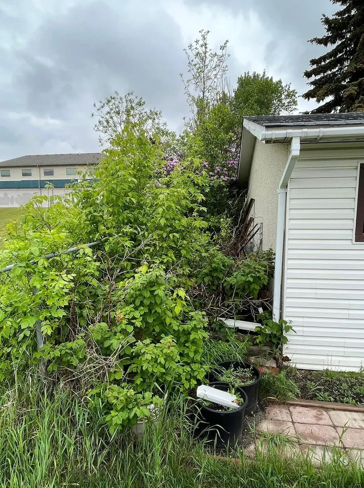 Reliable lawn care service experts serving Boston, MA - Mattapan Lawn Services