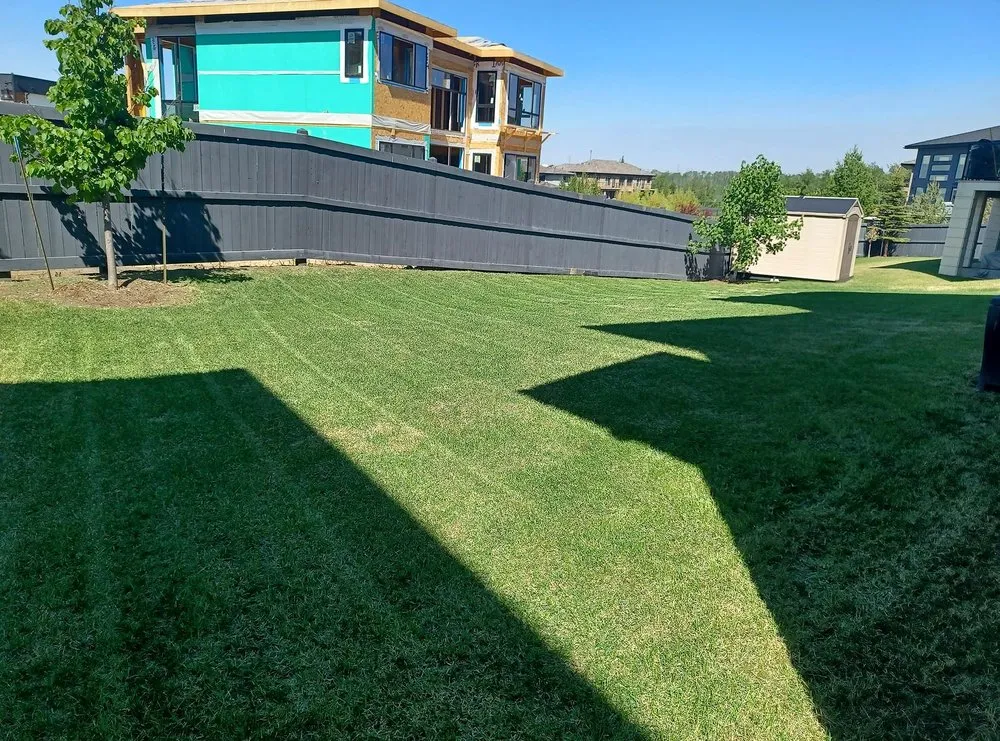 Custom landscape design in Boston, MA by Mattapan Lawn Services