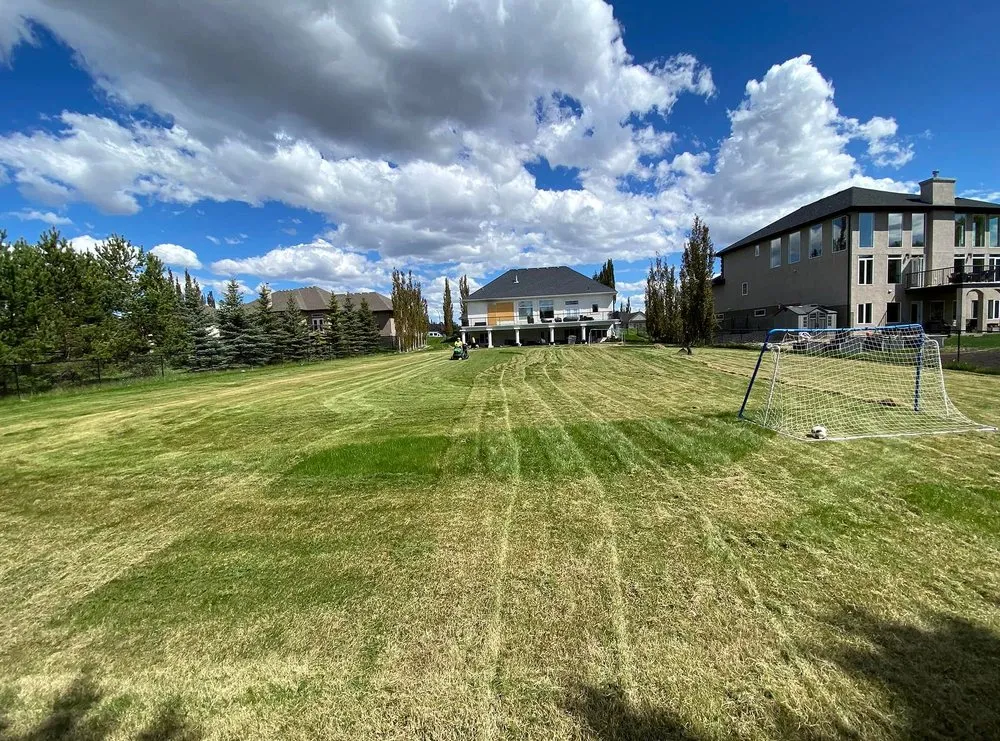 Top-rated landscape installation in Boston, MA by Mattapan Lawn Services