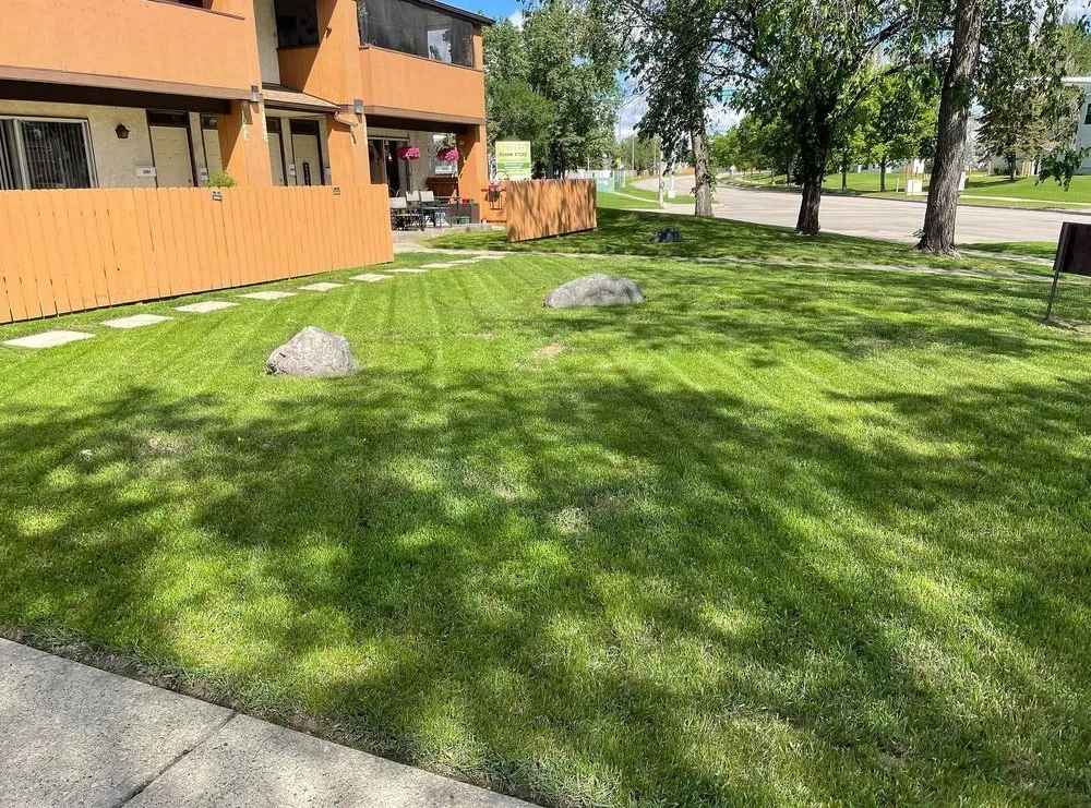 Local lawn mowing service for homes across Boston, MA - Mattapan Lawn Services