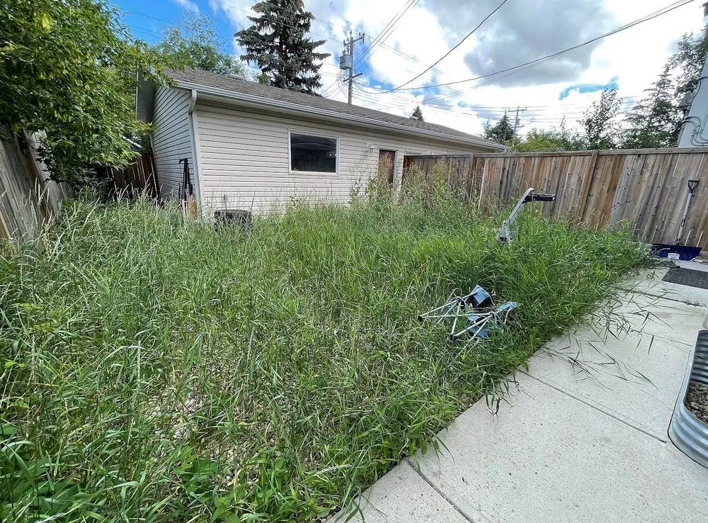 Professional landscape design with custom design across Boston, MA - Mattapan Lawn Services